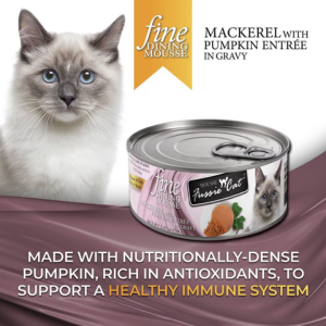 Fussie Cat Fine Dining Mousse Mackerel With Pumpkin Wet Cat Food, 2.47-oz For Cheap